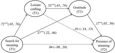 How Does Search for Meaning Lead to Presence of Meaning for Korean Army Soldiers? The Mediating Roles of Leisure Crafting and Gratitude